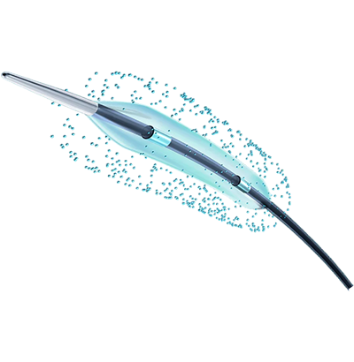 Paclitaxel-Coated PTCA Balloon Catheter - Image 2